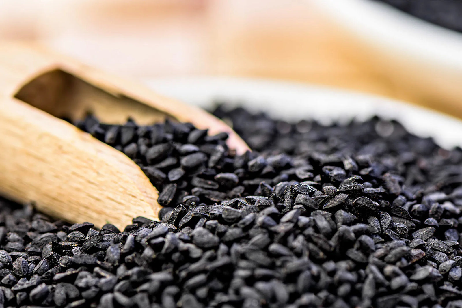 The Truth About Seed Oils: Understanding Their Impact on Health and Modern Diets