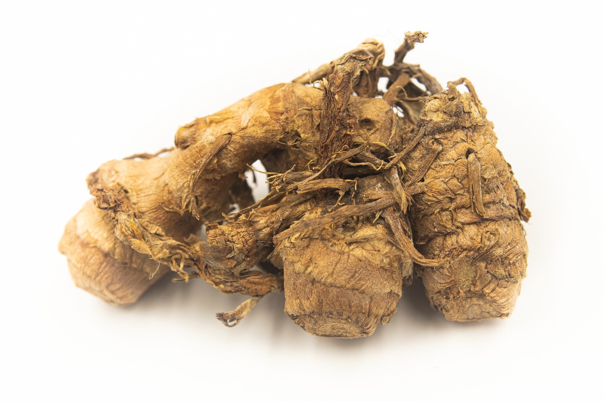 white turmeric essential oil | organic | made with plant lipids