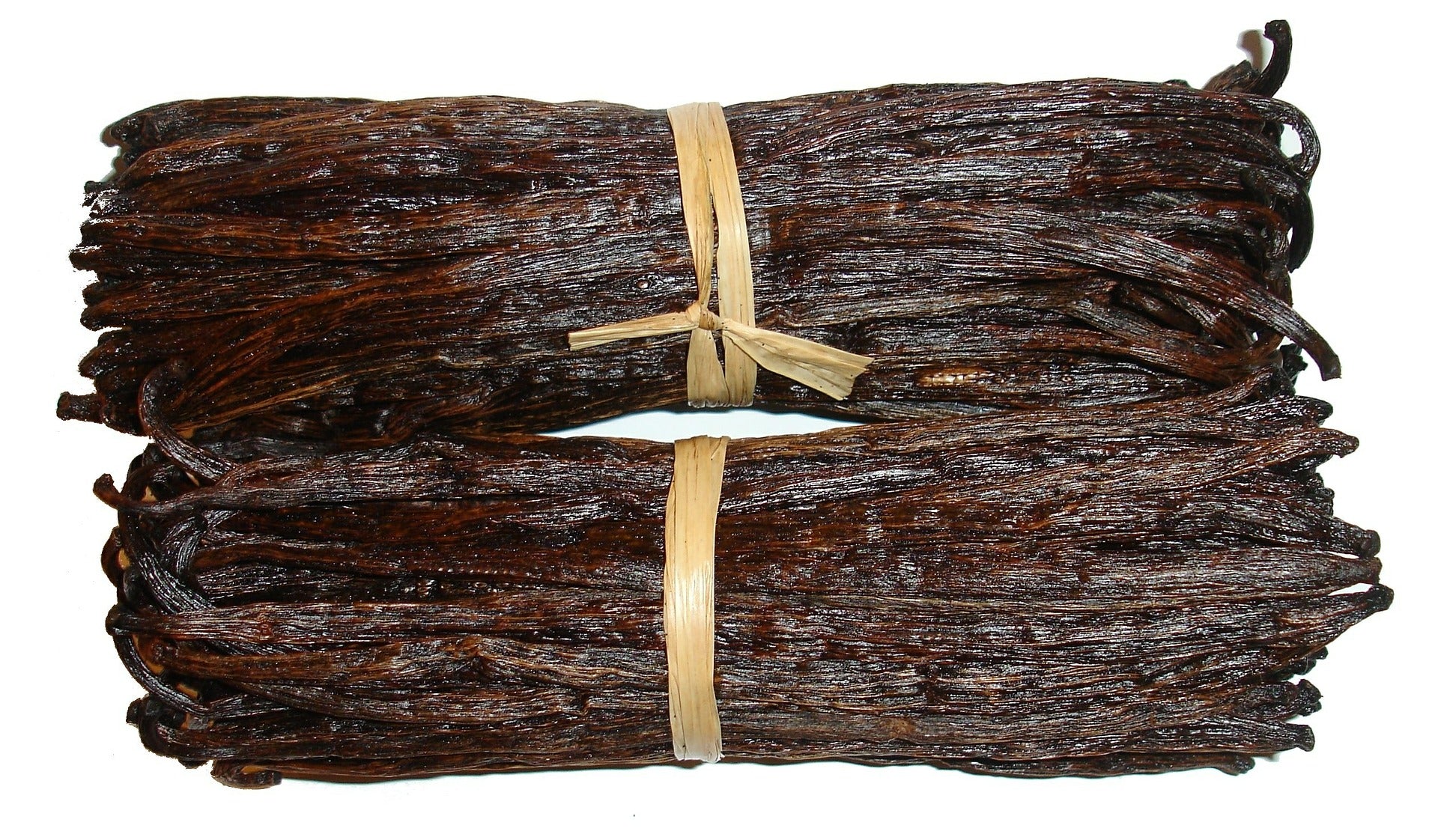 vanilla essential oil | organic | made with plant lipids